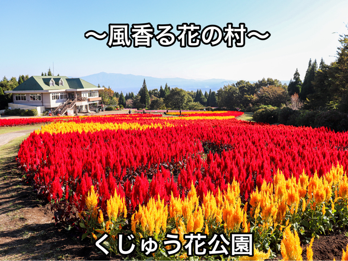 【大分县】 西日本最大级 被大自然包围的花卉公园“九十花公园”
