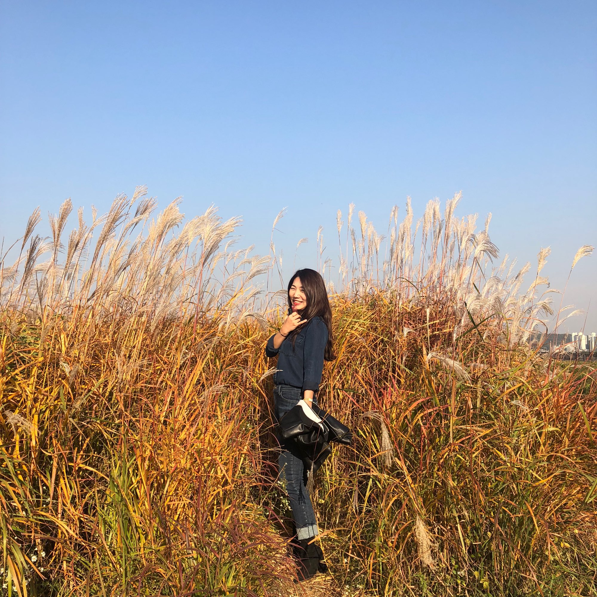 秋季必去的京畿道旅游胜地,西兴加特谷生态公园