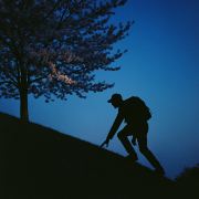 漫游笔记本🌍826