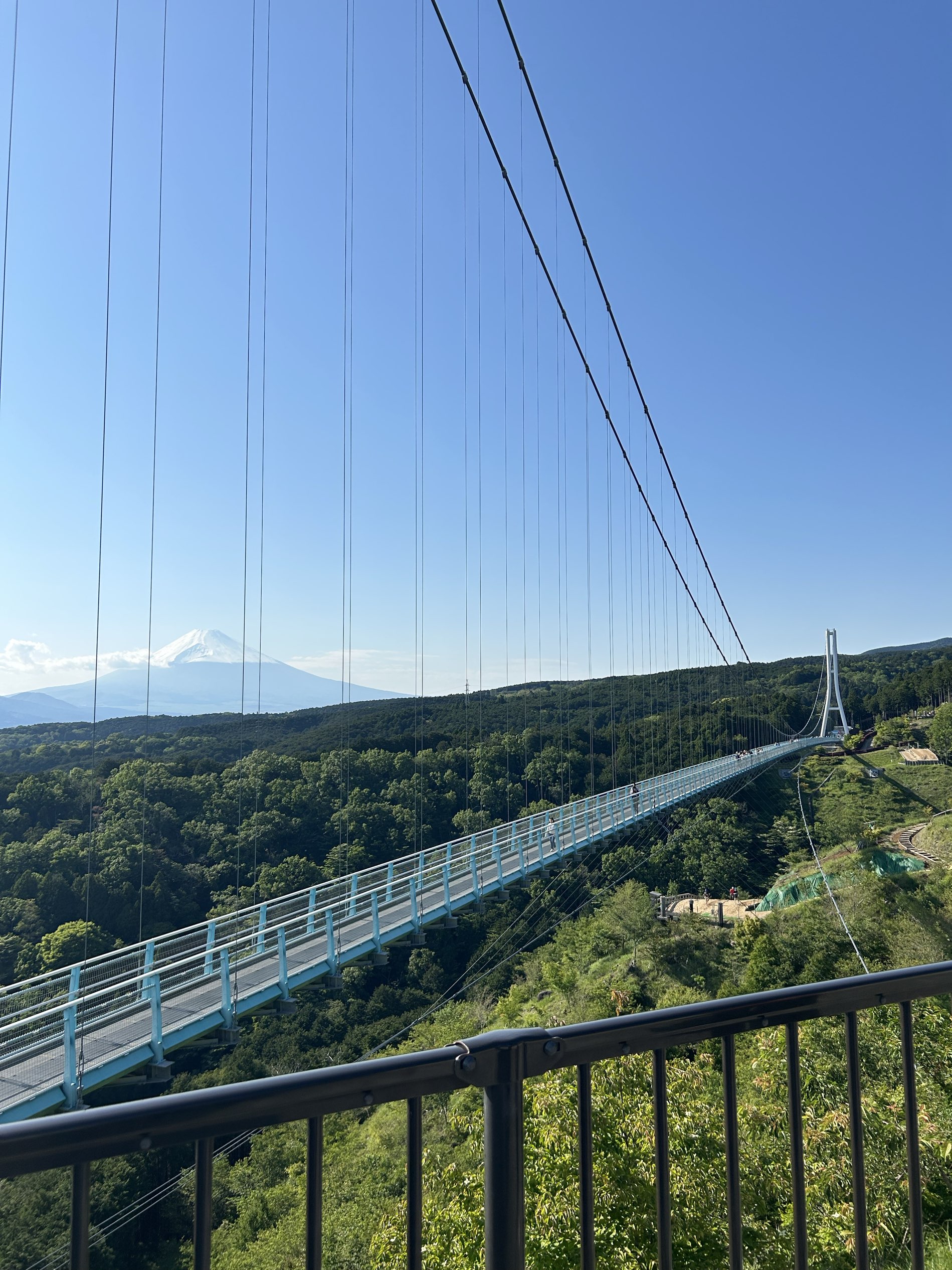 【静冈】从日本最长的吊桥可以俯瞰富士山。