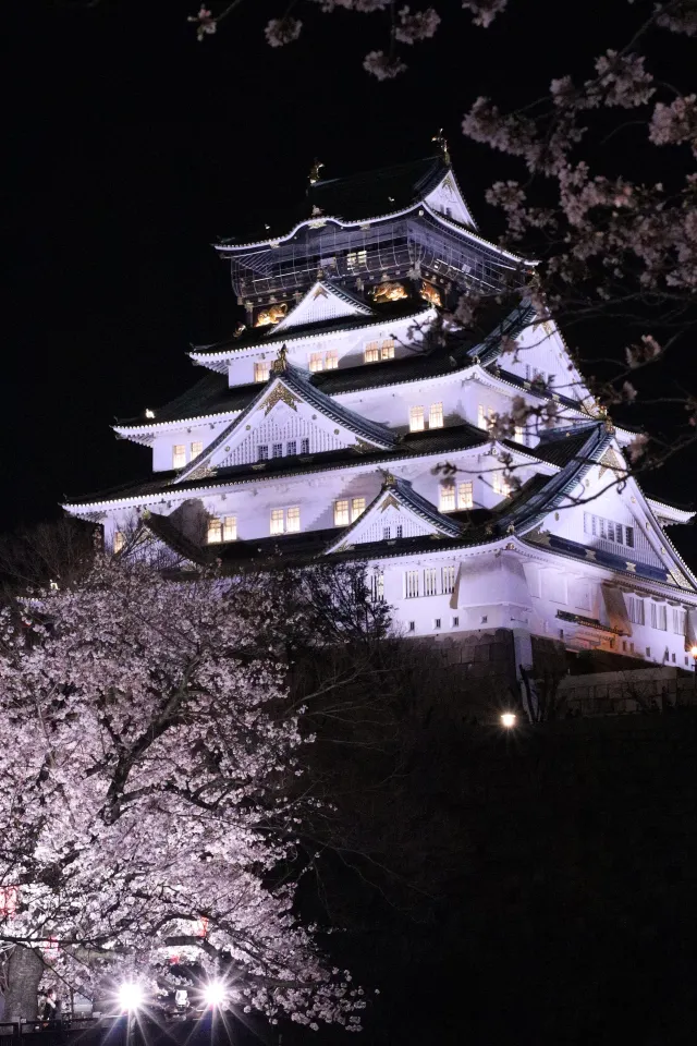ちらが西の丸庭園から見た、大阪城