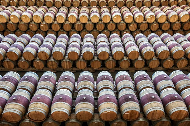 Botti di vino a Haro, La Rioja, Spagna