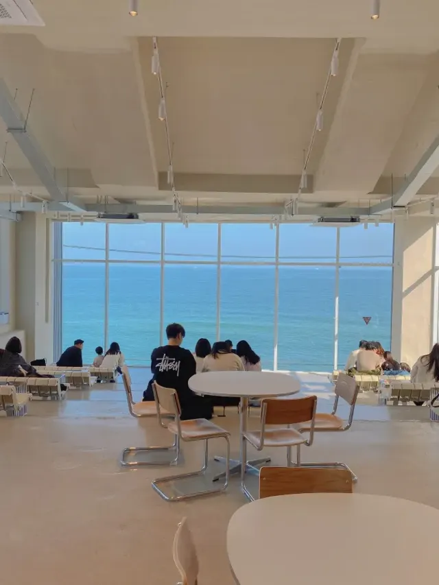 1mj0y12000as4xvk5C495.png