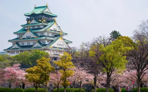 오사카 벚꽃 오사카성 축제