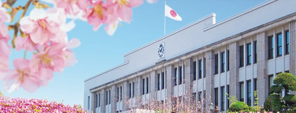 오사카 벚꽃 조폐국 축제