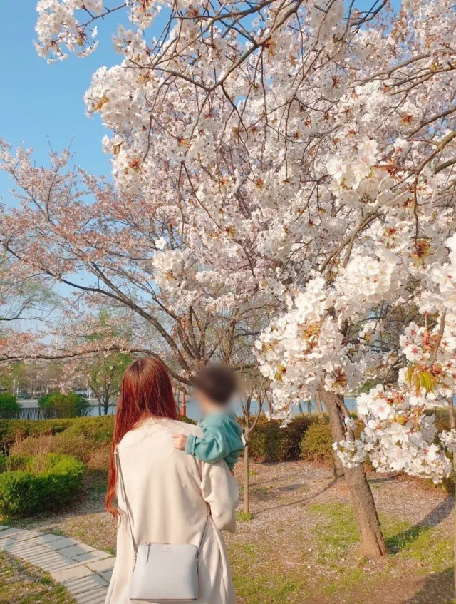 ワールドカップ公園