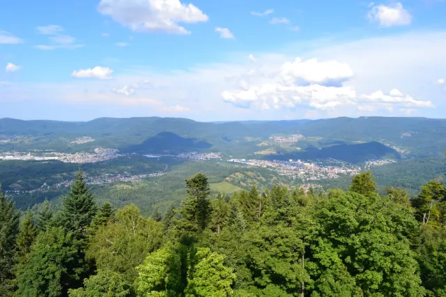 Der Schwarzwald am Rand von Baden-Baden