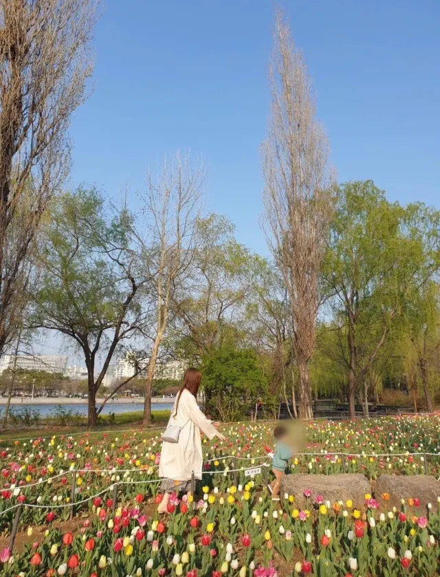 ワールドカップ公園