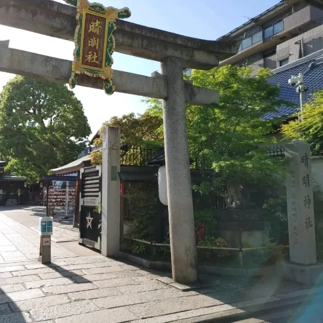 京都パワースポット宮司の占いもある晴明神社・アンティーク着物専門店 戻橋がすごい！ ２０２３年最新 今出川周辺スポット５選！