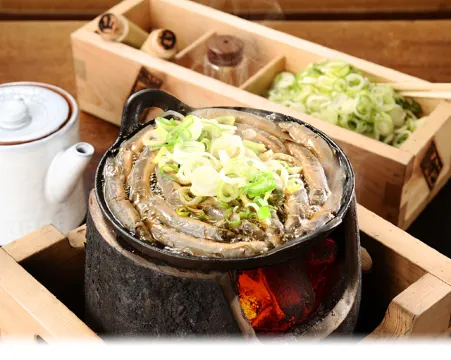 泥鰍火鍋-駒形どぜう