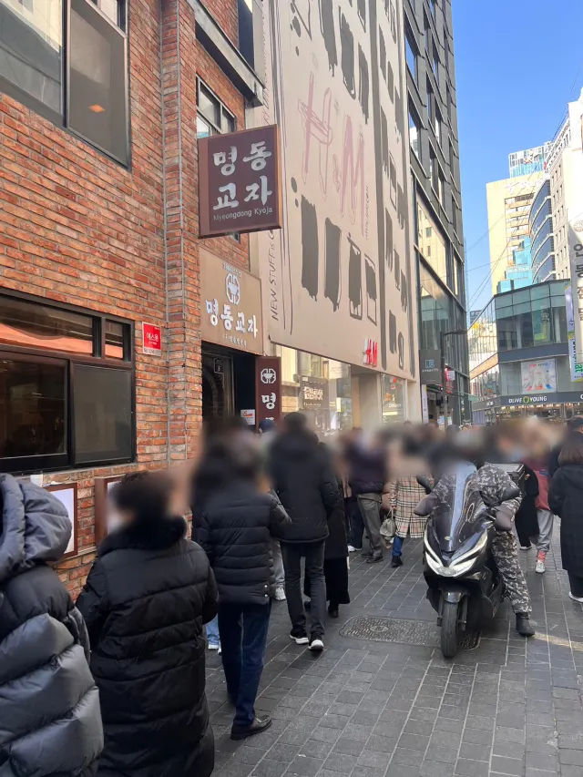 韓国明洞グルメ2025