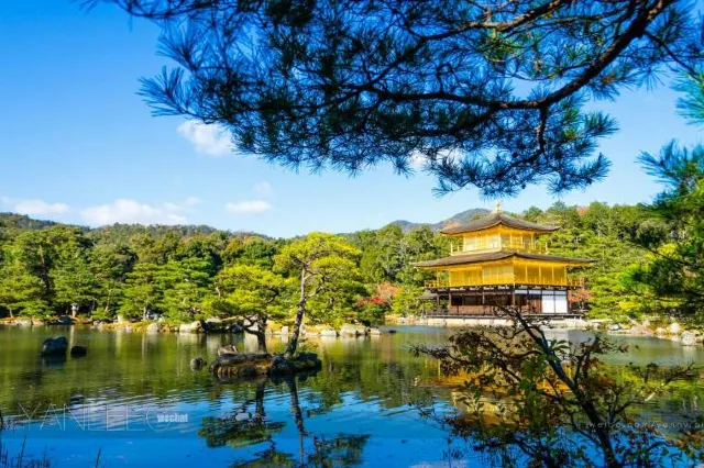 金閣寺