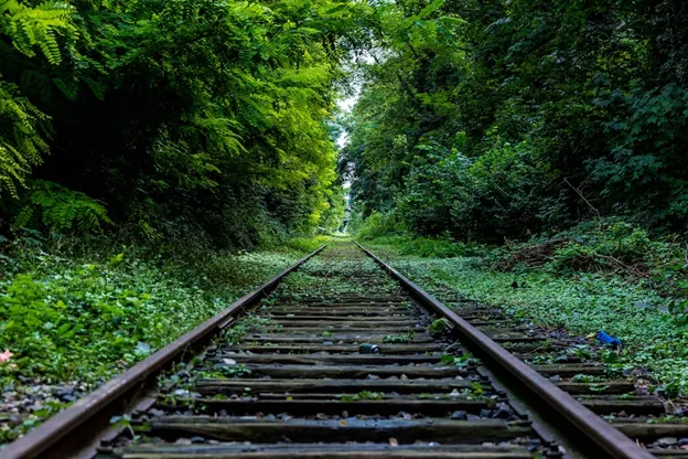 Train tracks in a lush setting