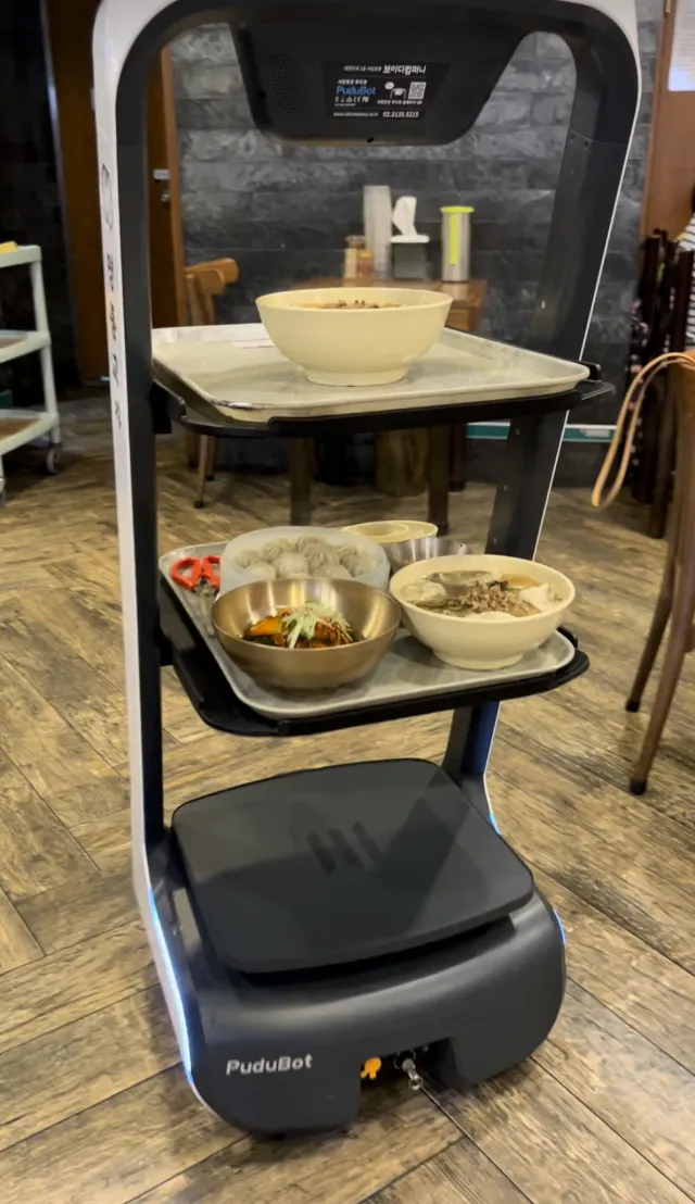 韓国明洞グルメ2025