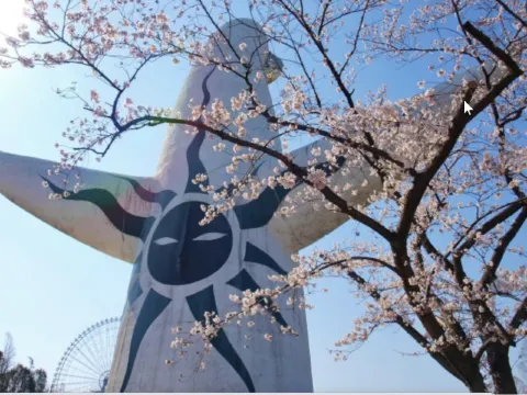 오사카 벚꽃 공원