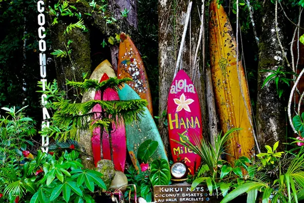 Collection of surfboards on the Road to Hana