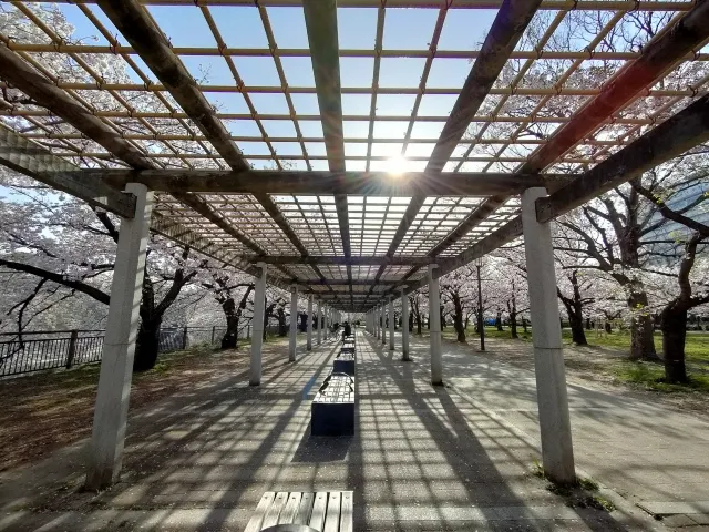 城南(南外堀南側)エリア