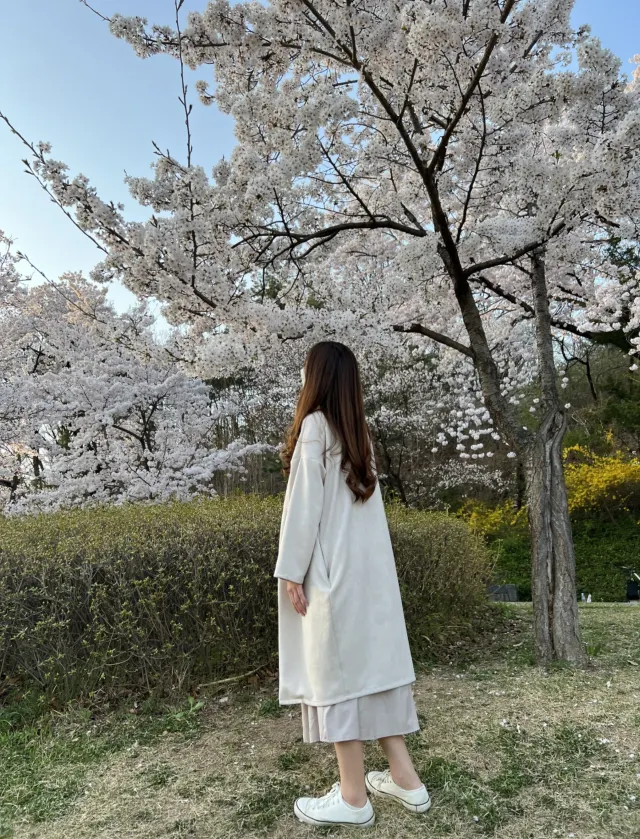 北ソウル夢の森