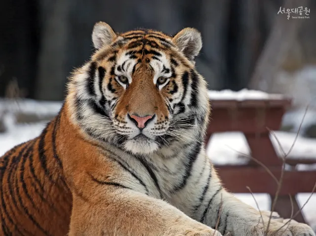 1mj5212000awjxzkgA466.png