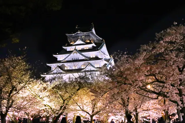 ちらが西の丸庭園から見た、大阪城