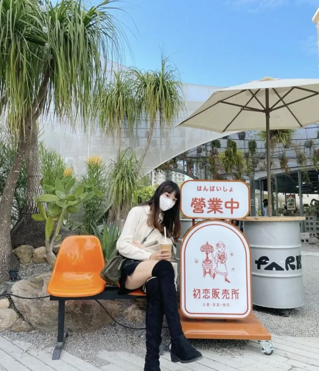 1mj6l12000ajpqsob638A.png