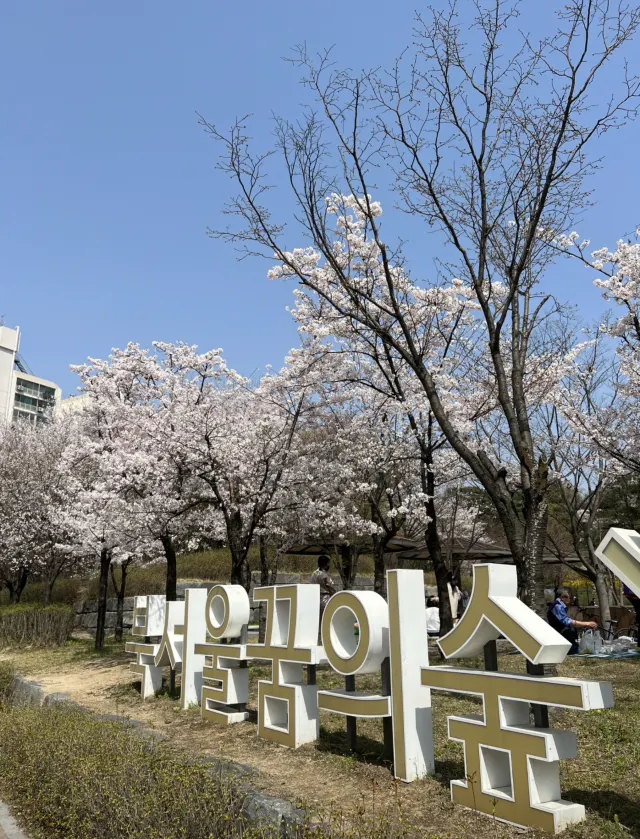 北ソウル夢の森