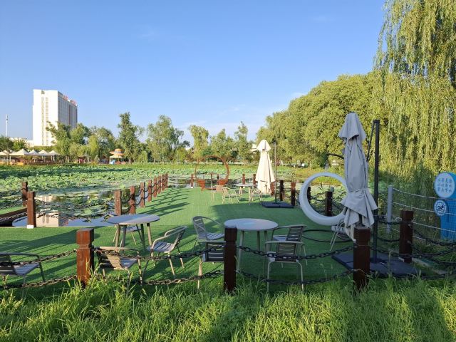 普兰店区湿地公园旅行图片 3