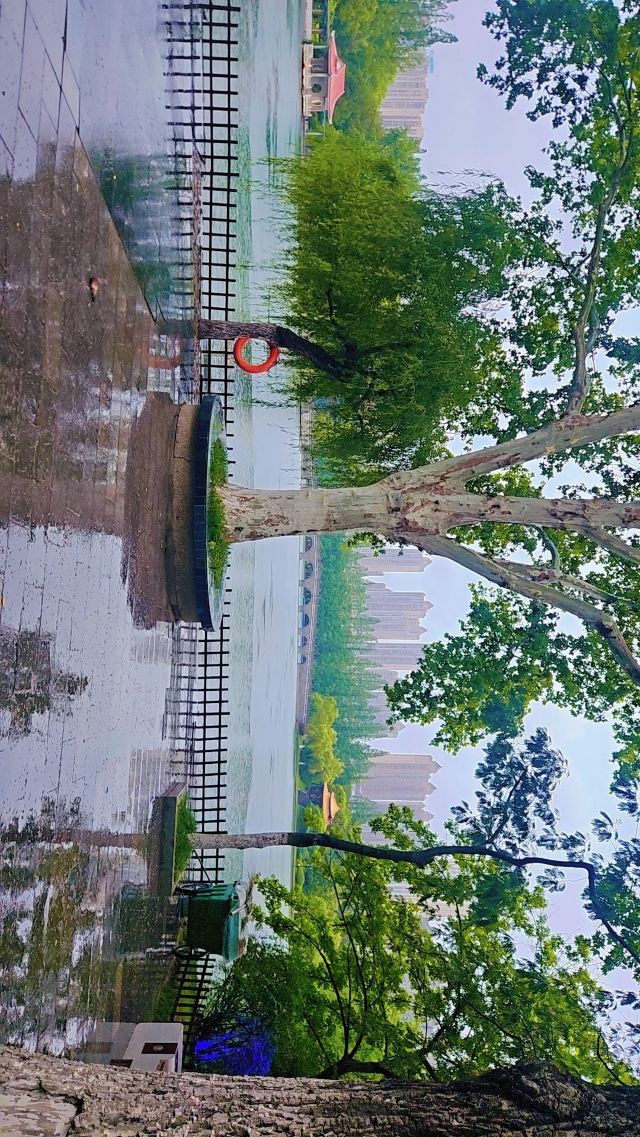 古逍遥津旅行图片 4