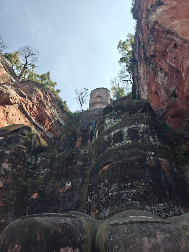 乐山大佛旅行图片 1