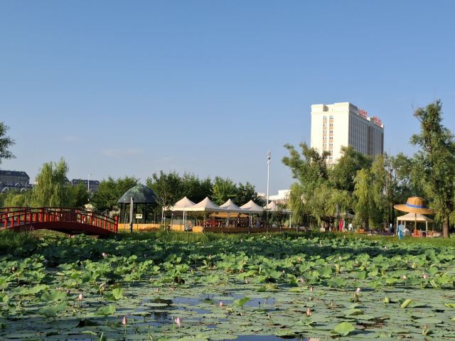普兰店区湿地公园旅行图片 5