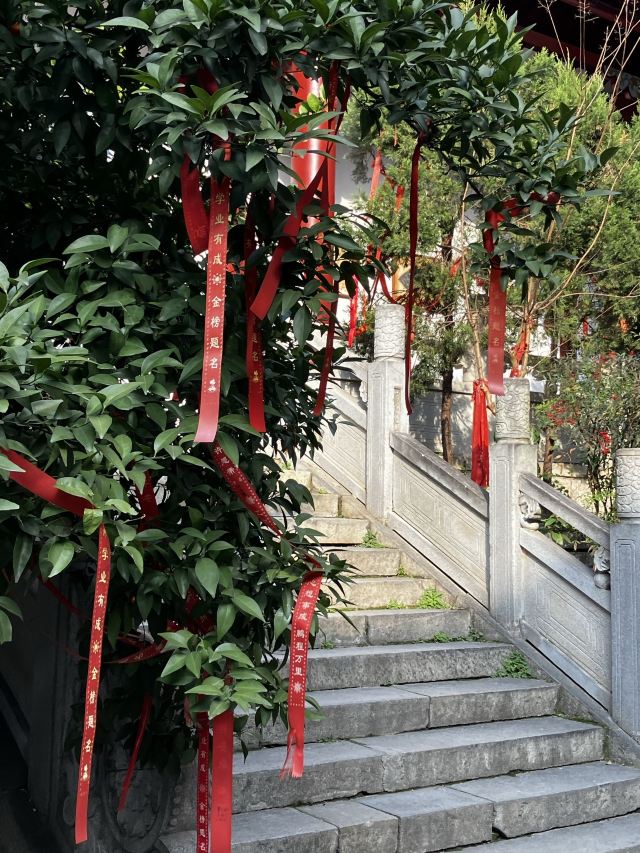 卓刀泉寺旅行图片 1