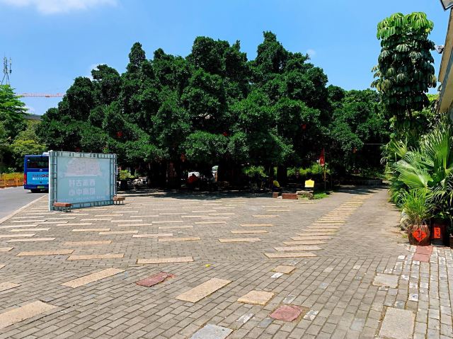 西溪古村旅行图片 1
