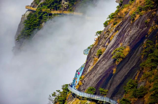 惠东海龟自然保护区游玩攻略简介,惠东海龟自然保护区门票/地址/图片/开放时间/照片/门票价格【携程攻略】