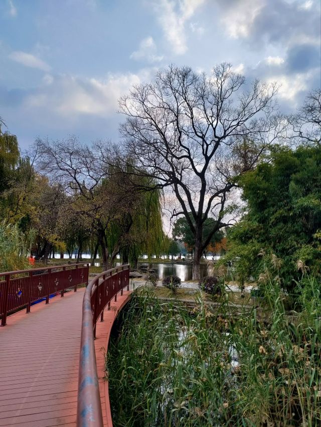 莫愁湖公园旅行图片 4