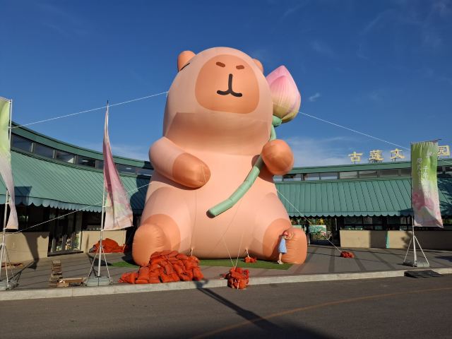 普兰店区湿地公园旅行图片 6