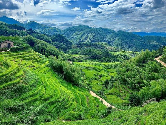 桃源梯田景区旅行图片 3