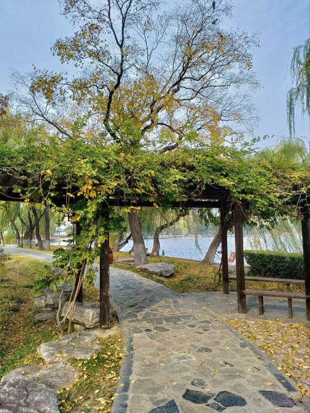 莫愁湖公园旅行图片 6