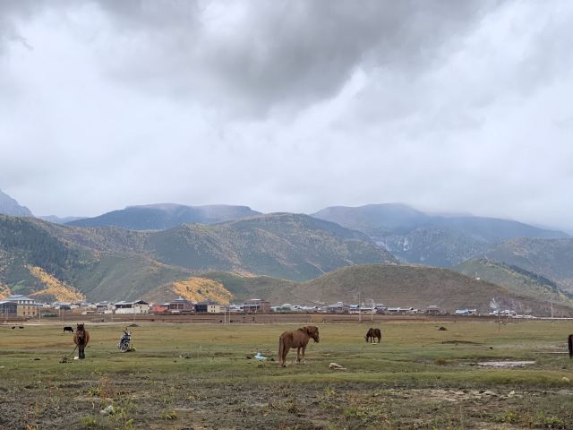 纳帕海大草原旅游景区旅行图片 1
