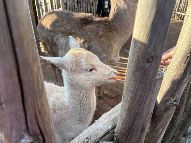 白鹿原影视城旅行图片 5