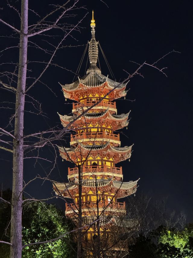 龙华寺旅行图片 1