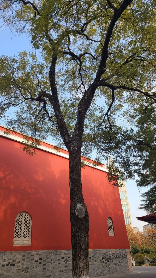 鼓楼公园旅行图片 5