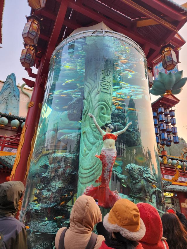 青岛明月·山海间旅行图片 4