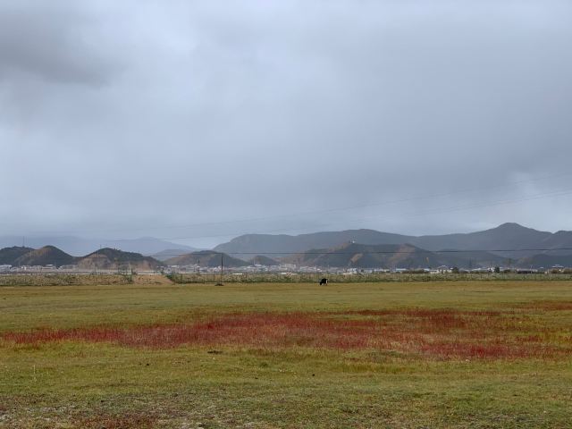 纳帕海大草原旅游景区旅行图片 2