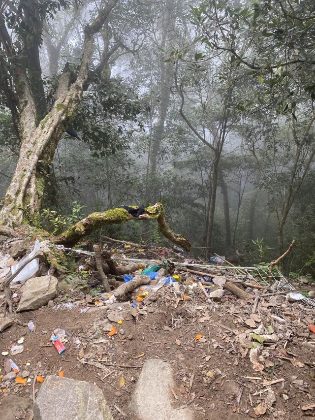 海南热带雨林国家公园五指山景区旅行图片 7