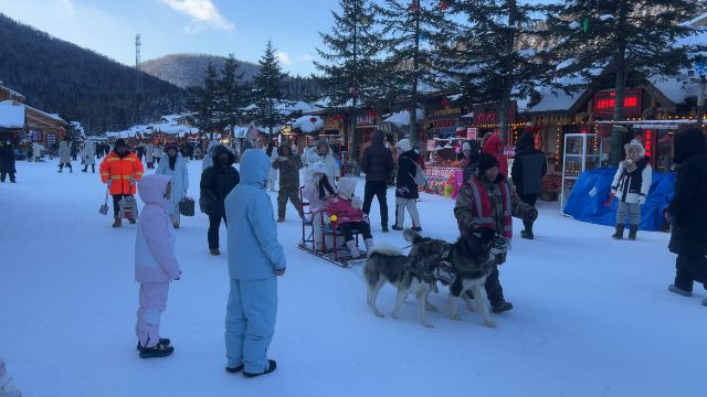 雪乡国家森林公园-中国雪乡风景区旅行图片 4