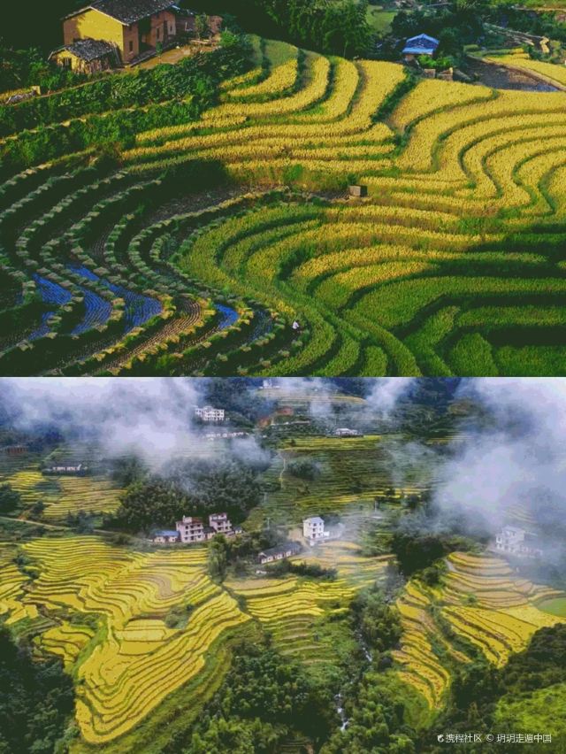 阳明寨景区旅行图片 4