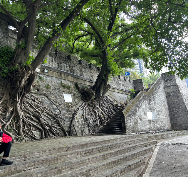 南宁古城墙旅行图片 1