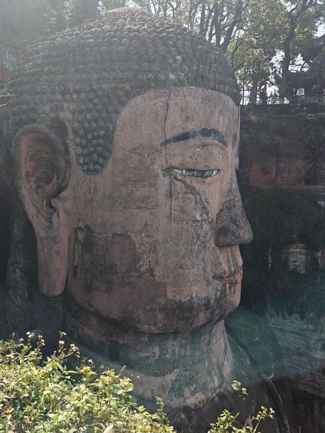 乐山大佛旅行图片 2