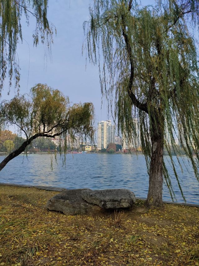 莫愁湖公园旅行图片 7