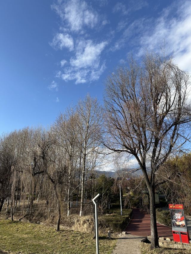 清溪公园旅行图片 9